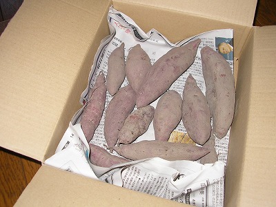 s-SANY0308.jpg