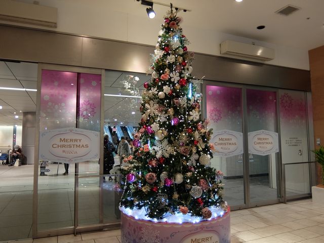 クリスマスツリー1454.jpg