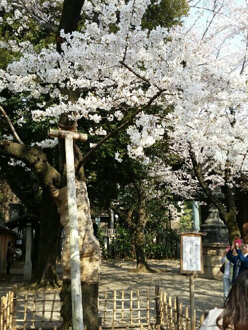 rblog-20150330160640-02.jpg