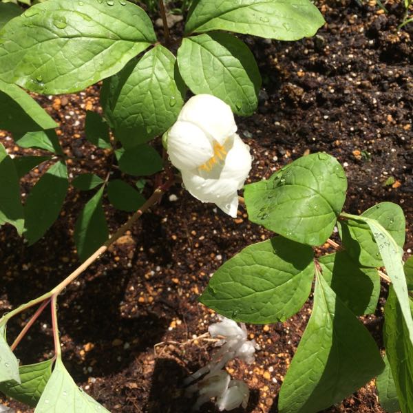 rblog-20160513140450-03.jpg
