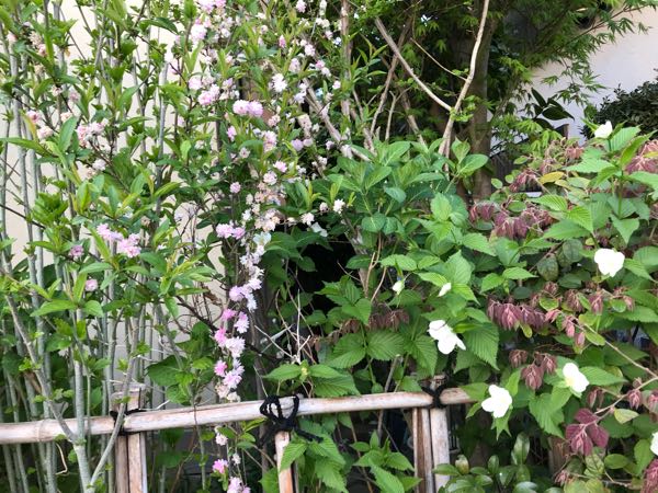 rblog-20180408182003-01.jpg
