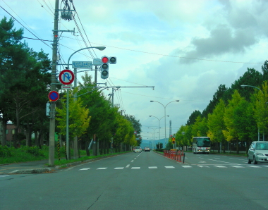 2017-10-03aki (1).JPG