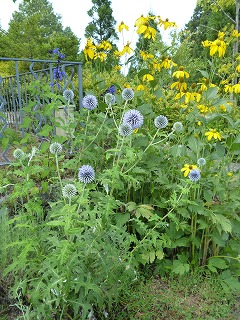P1080862ss.jpg