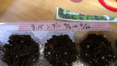 rblog-20140404140655-00.jpg
