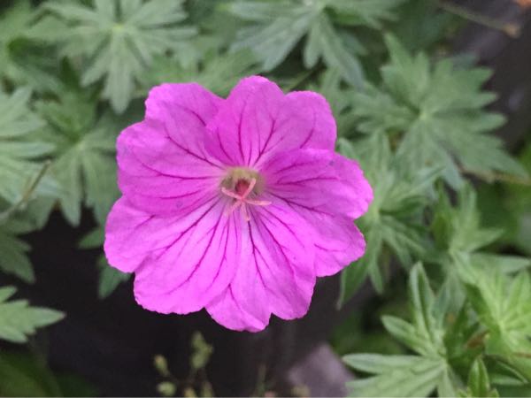 rblog-20160529204936-02.jpg