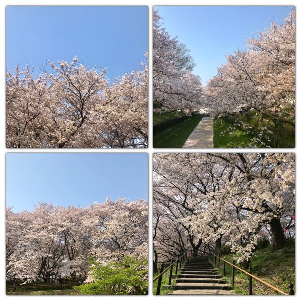 rblog-20180404221745-00.jpg