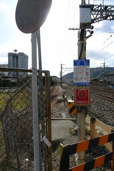 P1010253.JPG