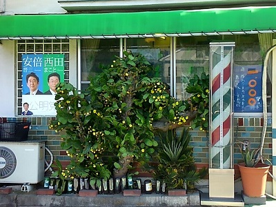 1464867057452 (1).jpg