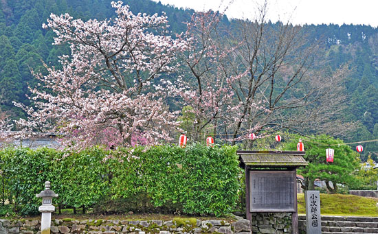 公園１