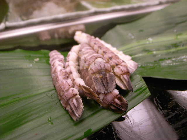 RIMG21590.JPG
