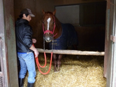 P1040508 (400x300).jpg
