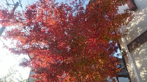 rblog-20171201232450-01.jpg
