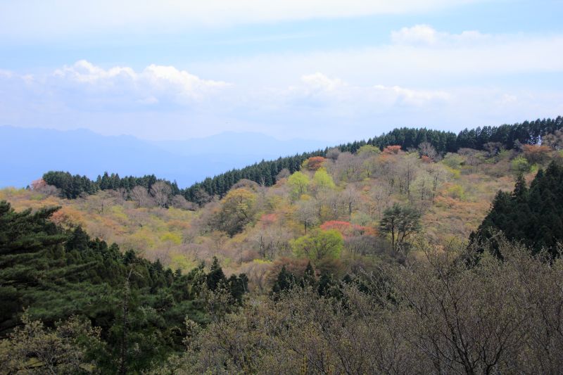 金剛山_004.jpg