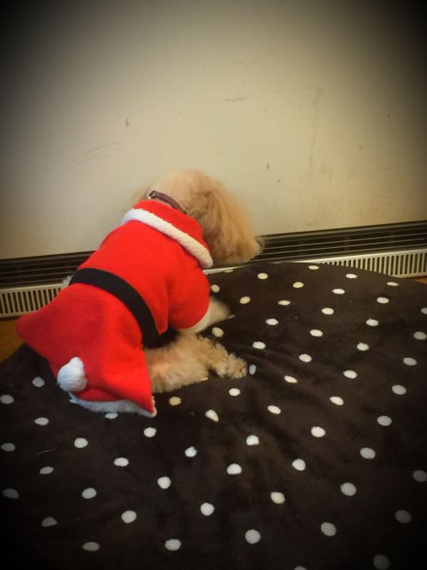 rblog-20161213210113-01.jpg