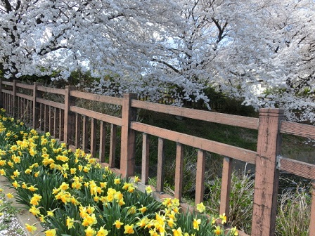 ヤチ公園