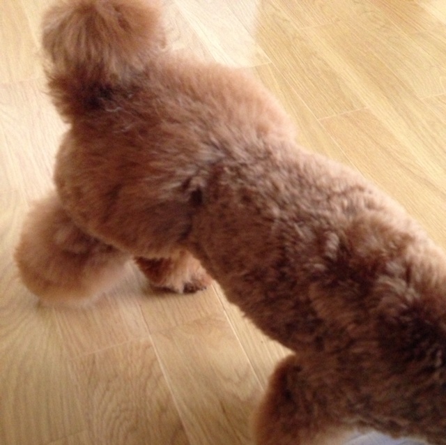 rblog-20130612174352-01.jpg