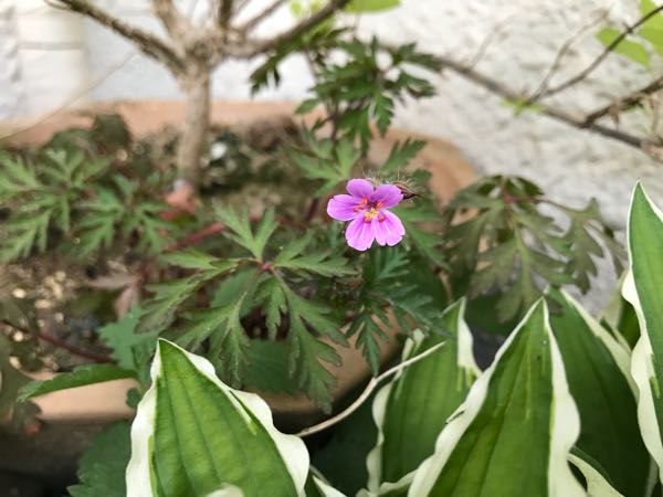 rblog-20180408181817-05.jpg