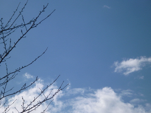 P1080124(1).JPG