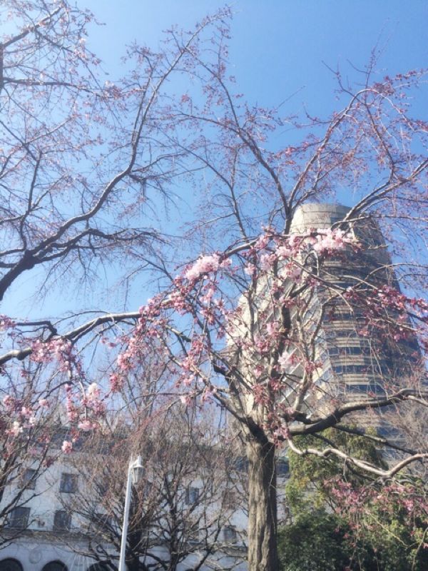 rblog-20140323182235-01.jpg