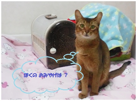 2012お出迎え2