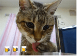 ビールのミュー.gif