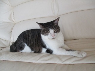 IMG_4774ss.jpg
