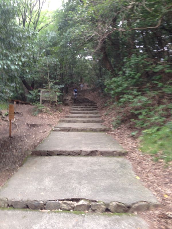rblog-20141022212501-02.jpg
