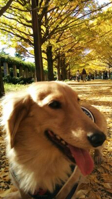 rblog-20141114205909-01.jpg