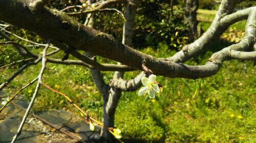 rblog-20180409234228-05.jpg