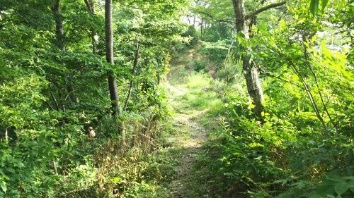 rblog-20180529163812-08.jpg