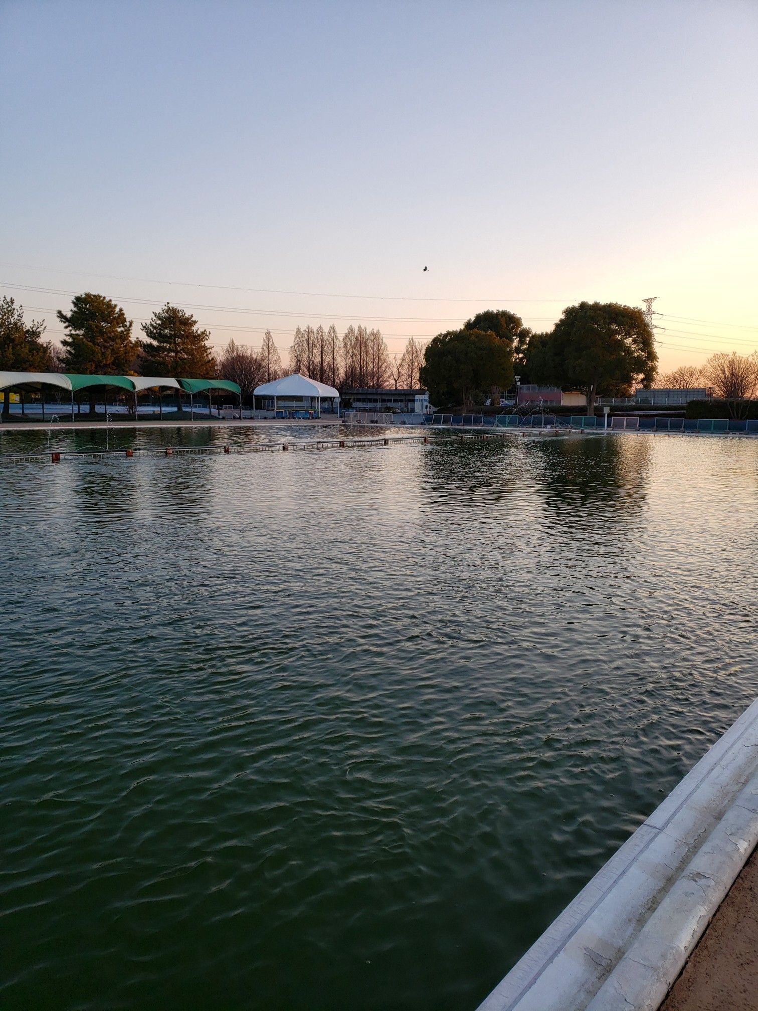 完全勝利 暴風の川越水上公園 No Fish No Life ３度の飯より釣りが好き 楽天ブログ