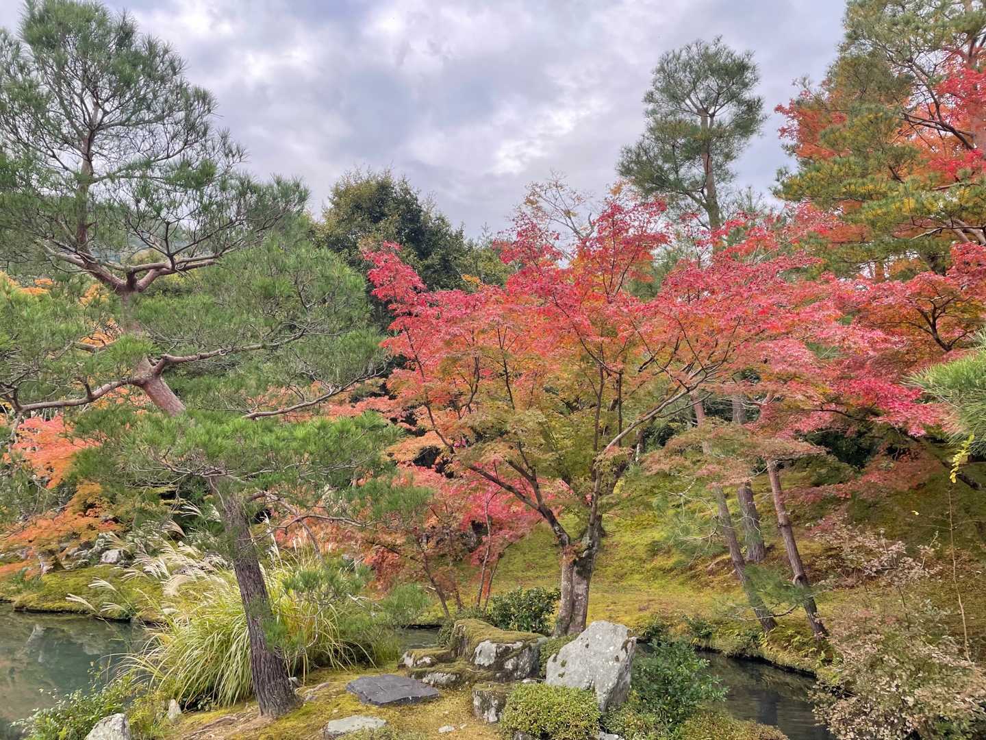 世界遺産 天龍寺 京都嵐山  happinesslife100 - 楽天ブログ