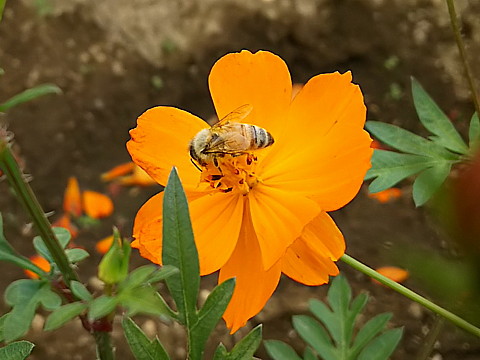 DSC_0984.jpg