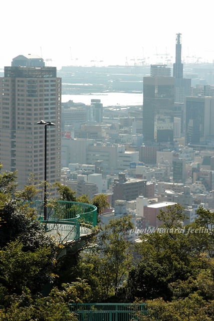 神戸諏訪山公園ビーナスブリッジ3.JPG