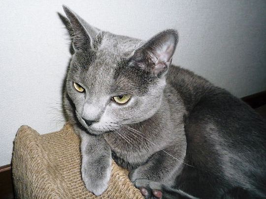 2015年04月25日_P1230265 - コピー.jpg