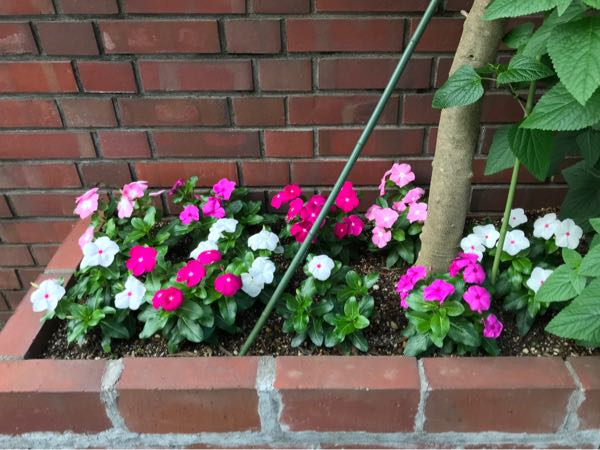 rblog-20180624181630-07.jpg
