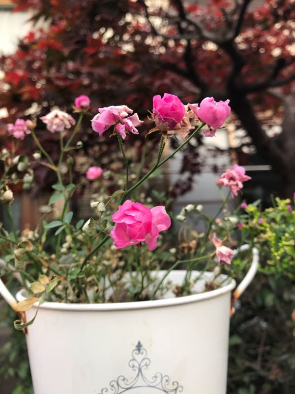 rblog-20181203160949-04.jpg
