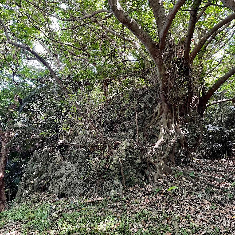 黄金森の丘陵に祀られるイシジャーの御嶽@南風原町「喜屋武之嶽/仏の前