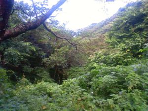 refijor.jpg