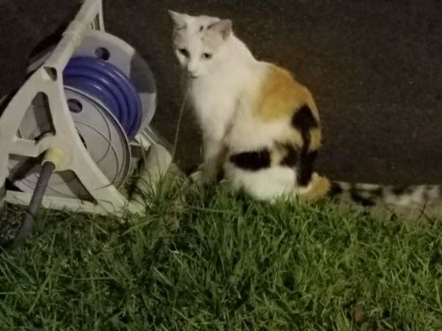 rblog-20180828002655-04.jpg