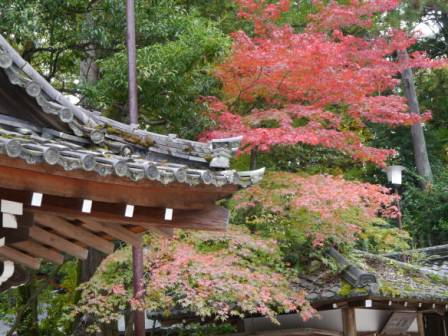 P1060092（今宮神社）.jpg