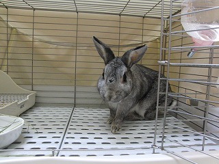 作業用画像その２ 432.jpg