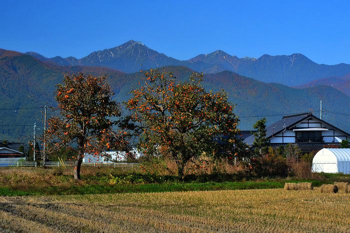 秋の田園風景 | フォト安次郎・安らぎの風景 - 楽天ブログ