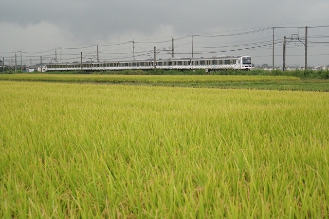 115系リバイバル新潟色 大宮出場！& MUE-Train（ミュートレイン）長野出場！5