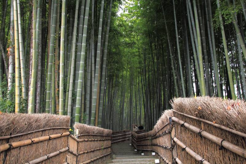 あだし野念仏寺_012.jpg