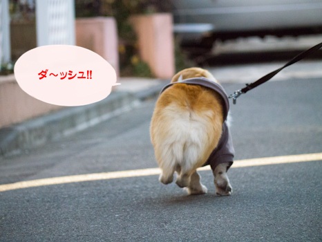 はな