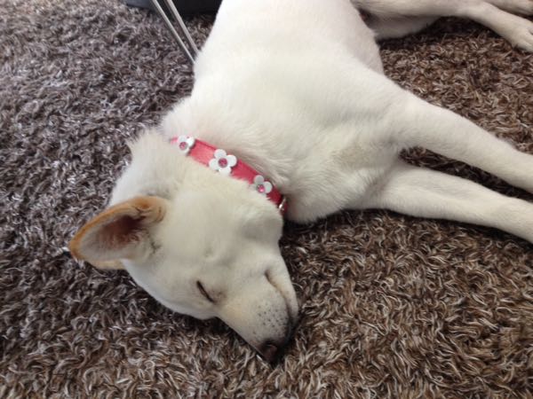 rblog-20150314112615-01.jpg