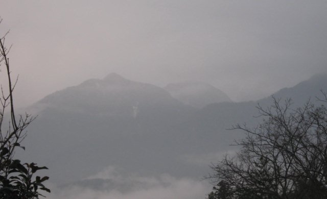 IMG_2114.JPG