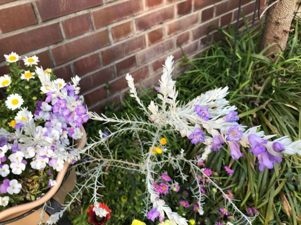 rblog-20190324173608-05.jpg