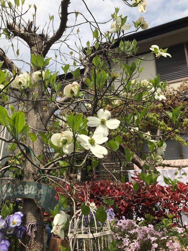 rblog-20190421190411-00.jpg